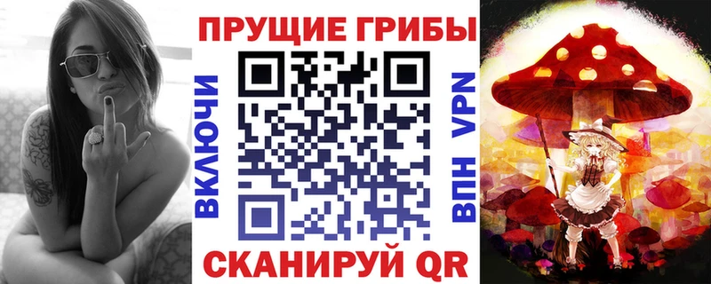 закладки  kraken ТОР  Галлюциногенные грибы Psilocybe  Алушта 